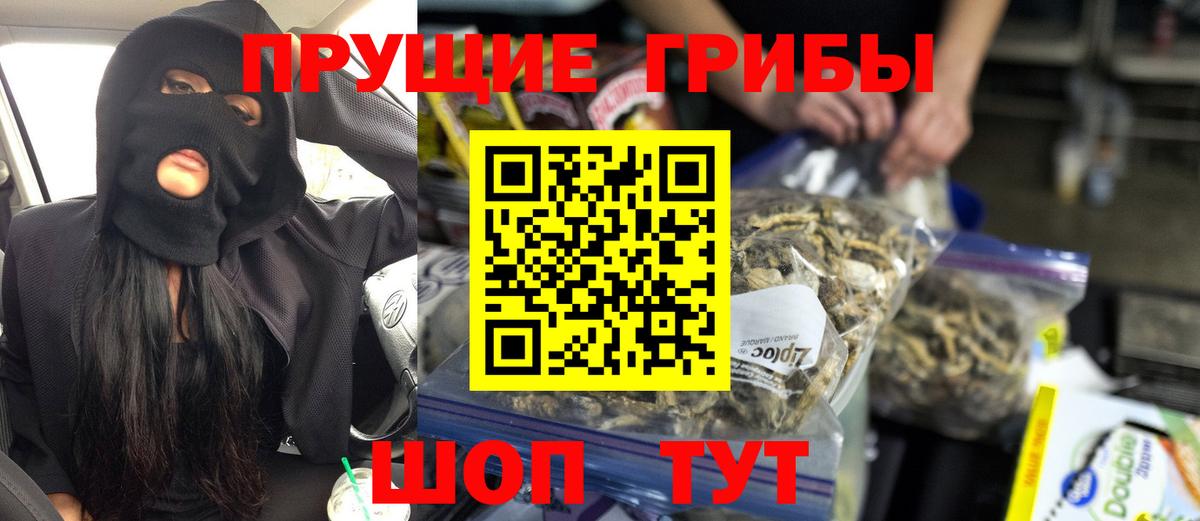 Псков  наркошоп  Вход с VPN  Галлюциногенные грибы мухоморы  Галлюциногенные грибы Psilocybe 